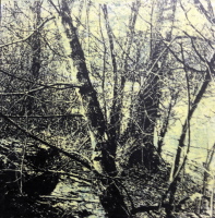 20 x 20 cm Fototransfer, Acryl